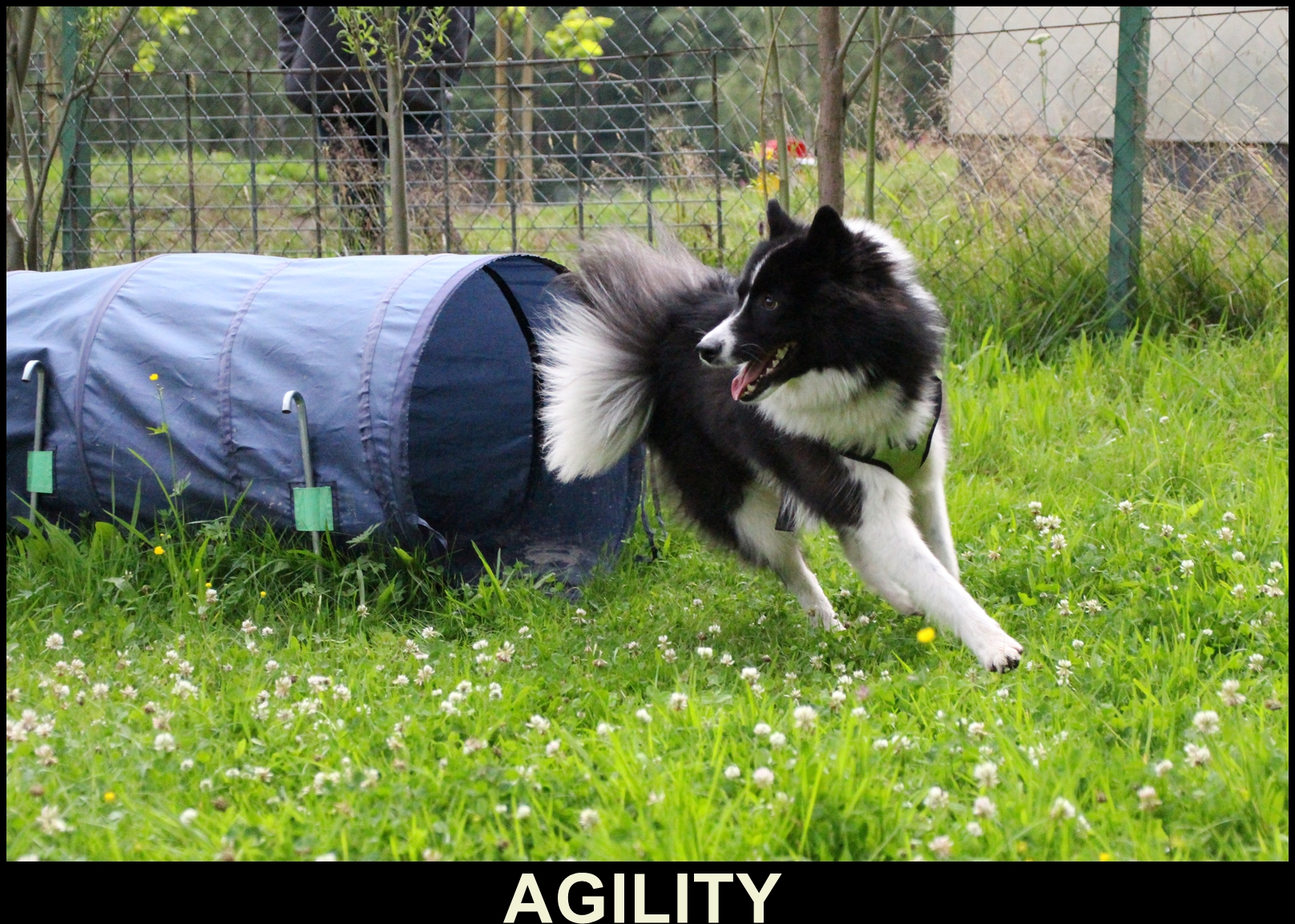 agility1